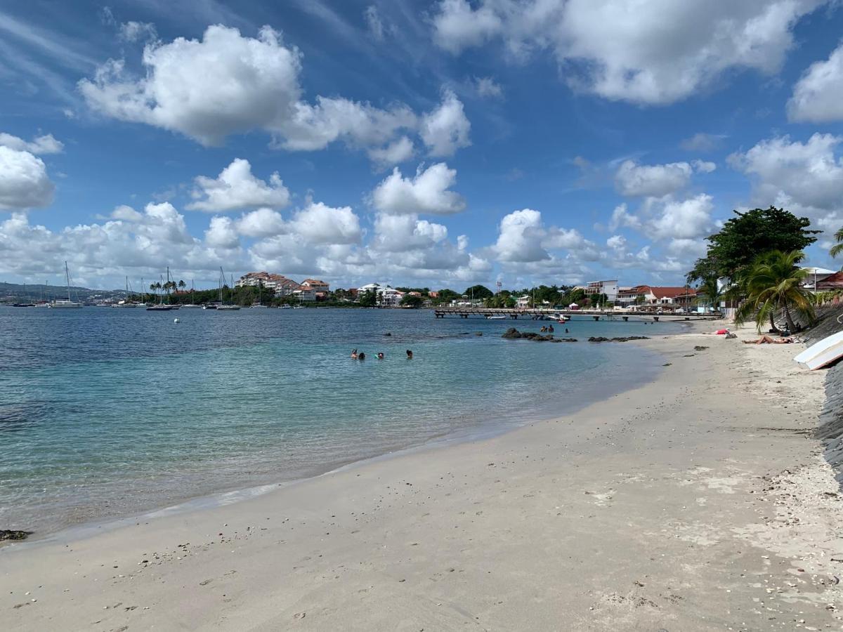 Studio Petit Cocon Anse Mitan Trois Ilets Les Trois-Ilets Bagian luar foto